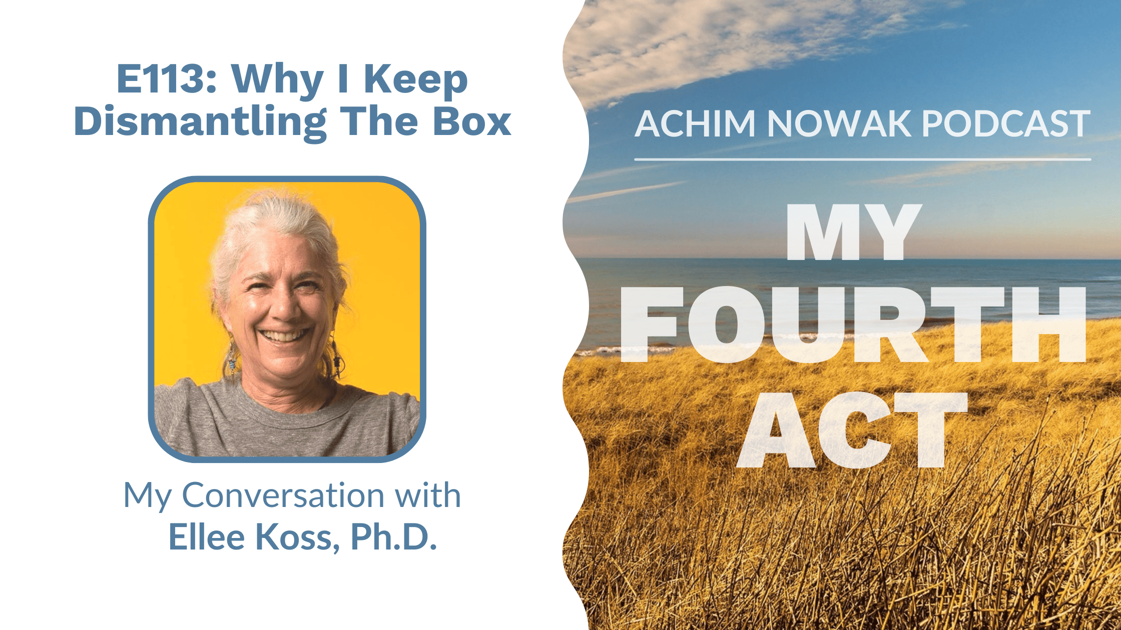113 | Ellee Koss, Ph.D. | Why I Keep Dismantling The Box